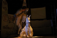 White Dog 16 * 6240 x 4160 * (5.71MB)